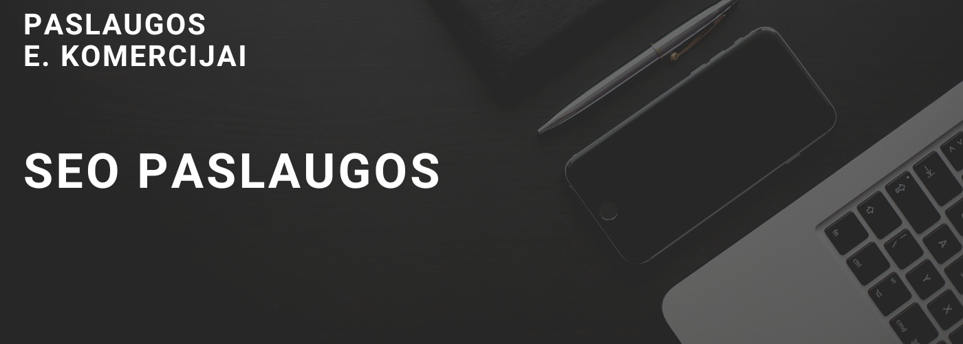 Vidinio seo optimizavimo paslaugos